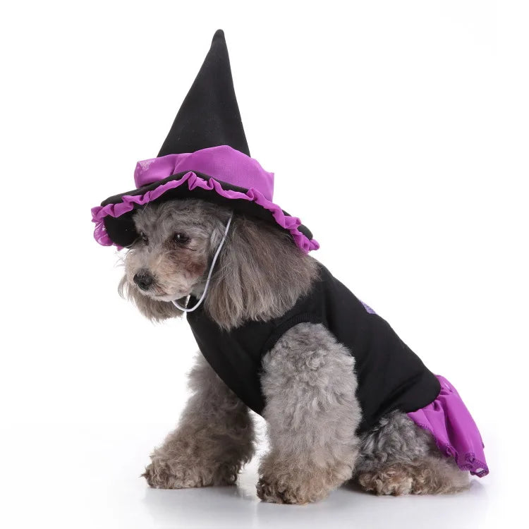 Funny Halloween Wizard Dog Costume