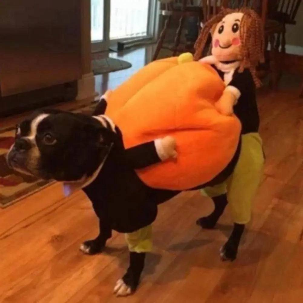 Cute Pumpkin Dog Party Costume