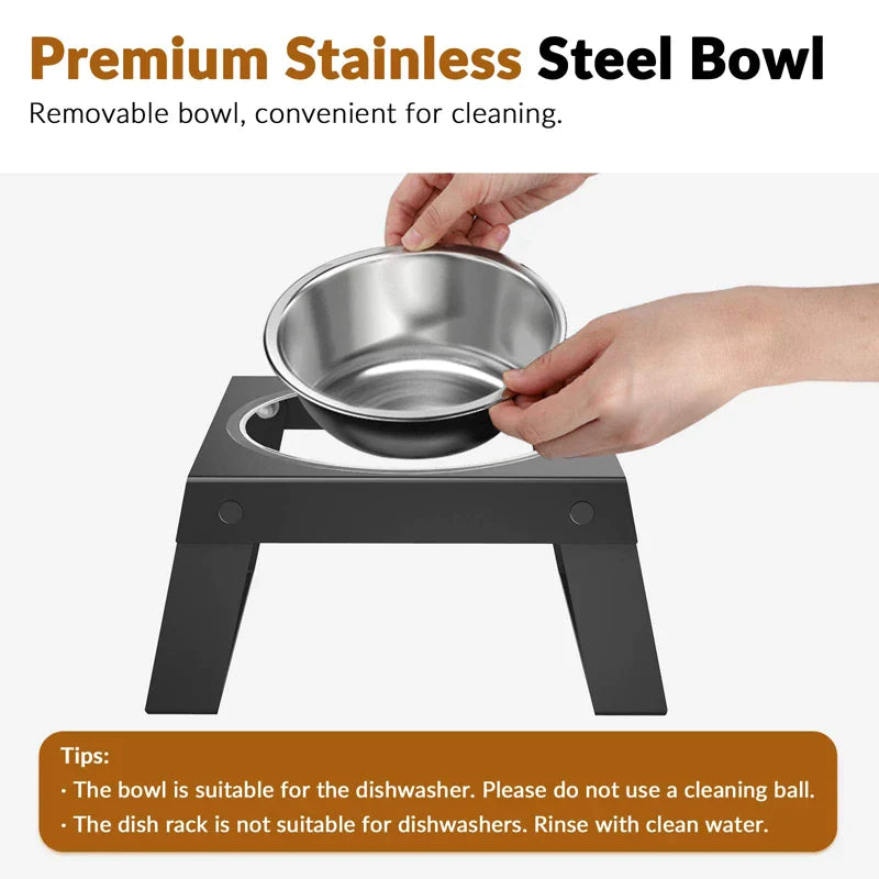 Stainless Steel Elevated Dog Bowls