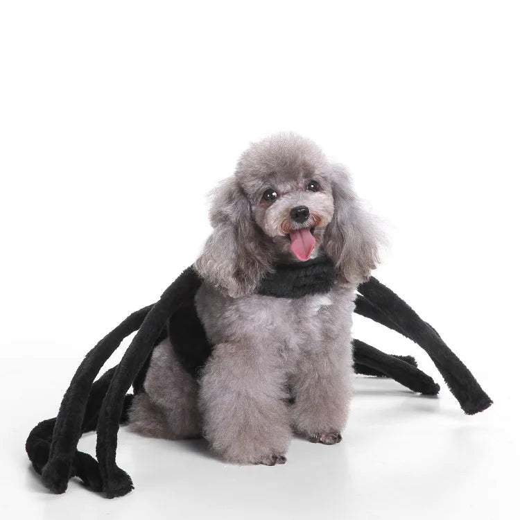 Funny Black Spider Dog Costume