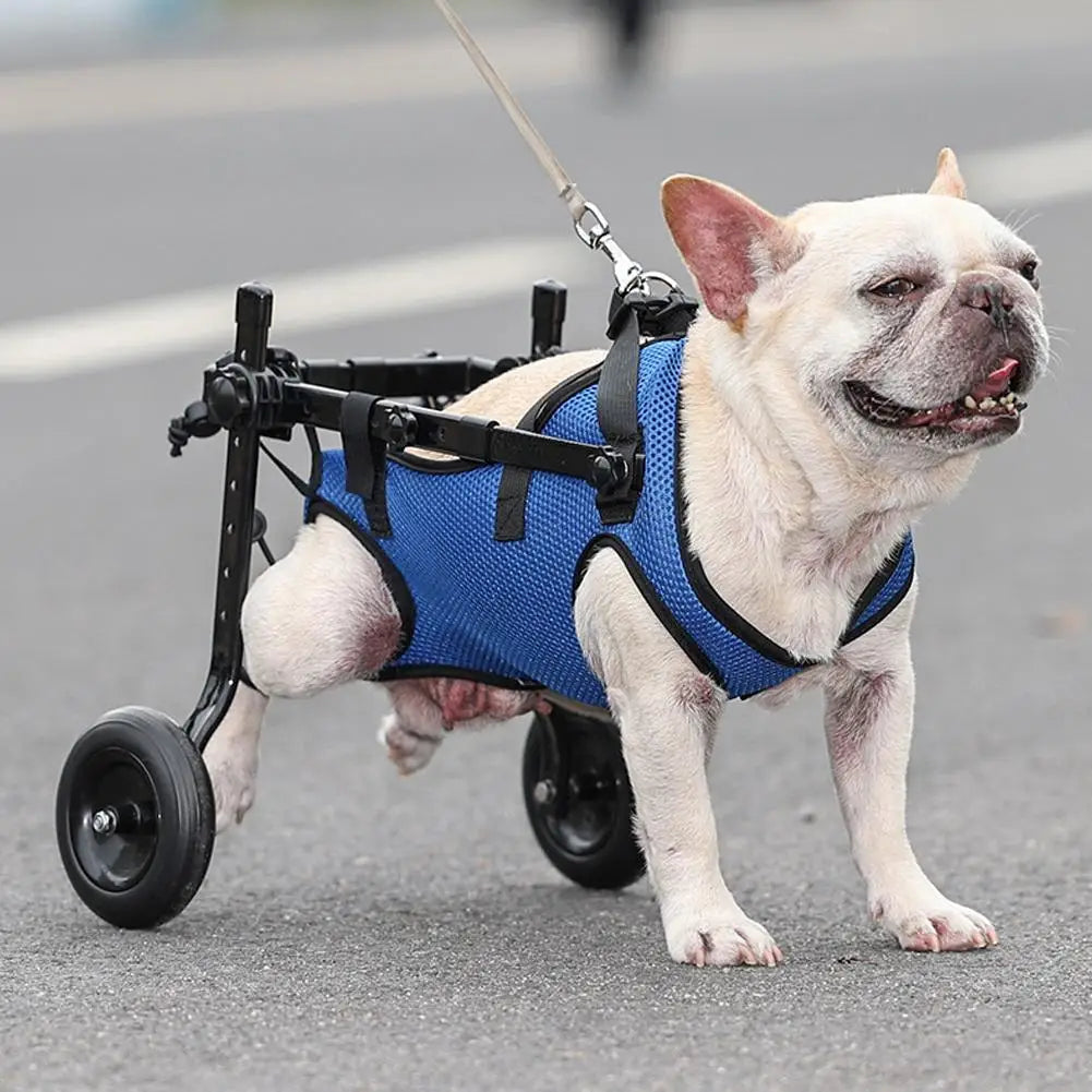 Adjustable Hind Leg Disabled Dog Wheelchair
