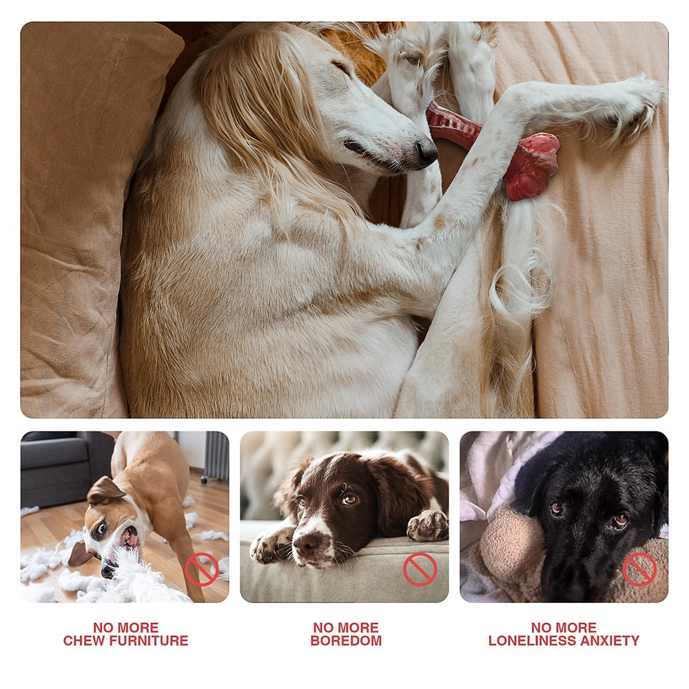 Large Dogs Bone Shaped Indestructible Dog Toys