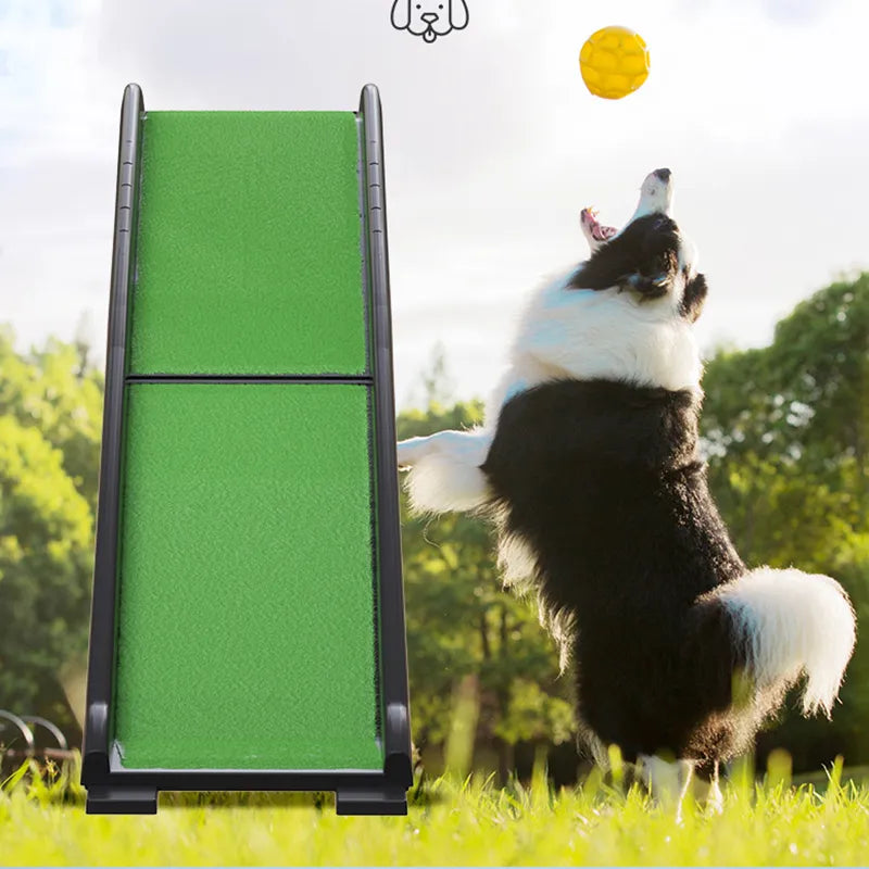 Lightweight Foldable Pet Ramp