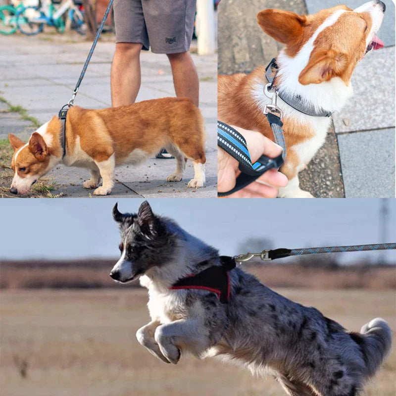 Reflective Heavy Duty Short Dog Rope