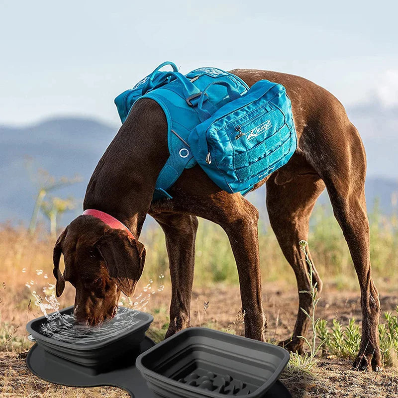 No-Spill Portable Double Dog Bowl