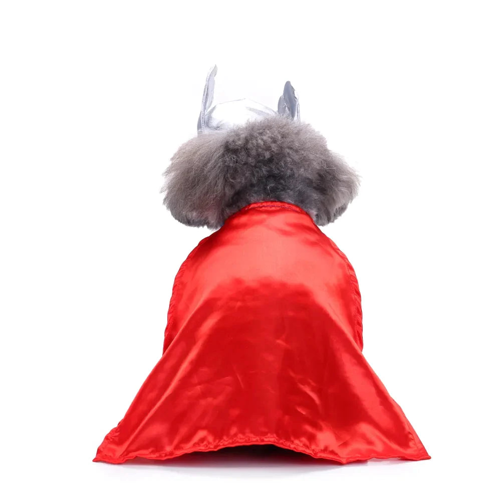 Halloween Pet Thunder God Costume