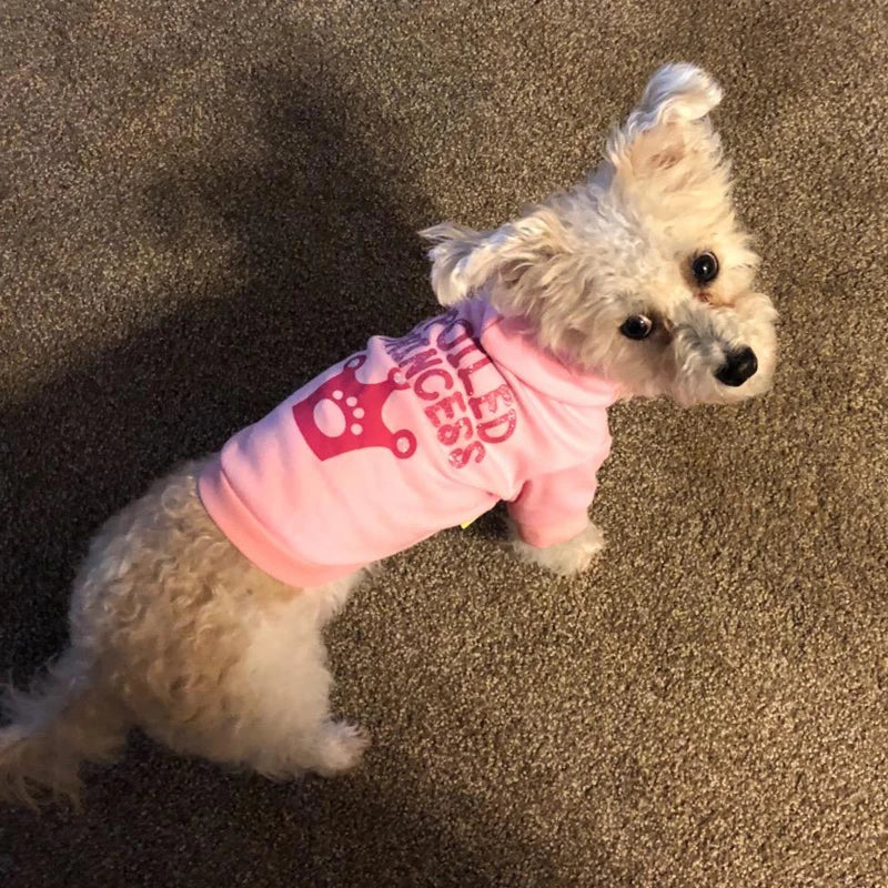 Cute Dog Princess Hoodie
