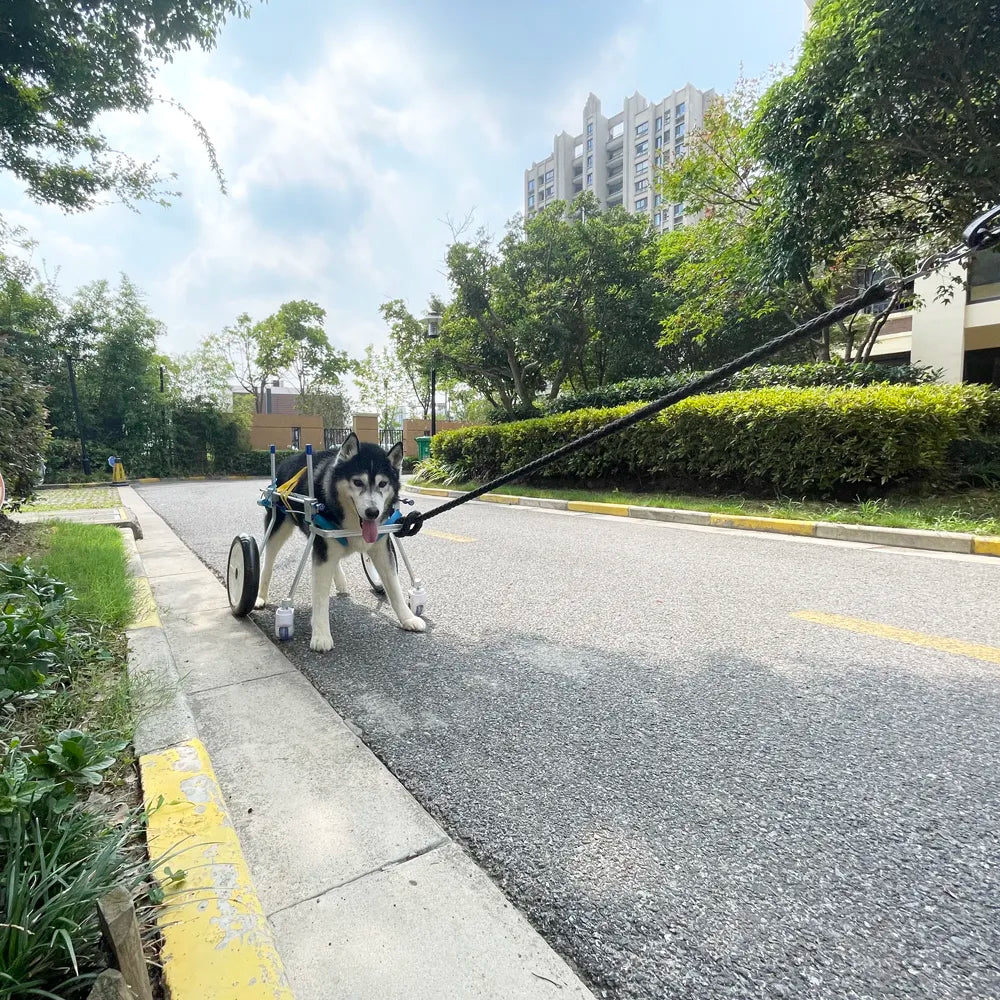 Nordic 4 Wheel Aluminum Dog Wheelchair