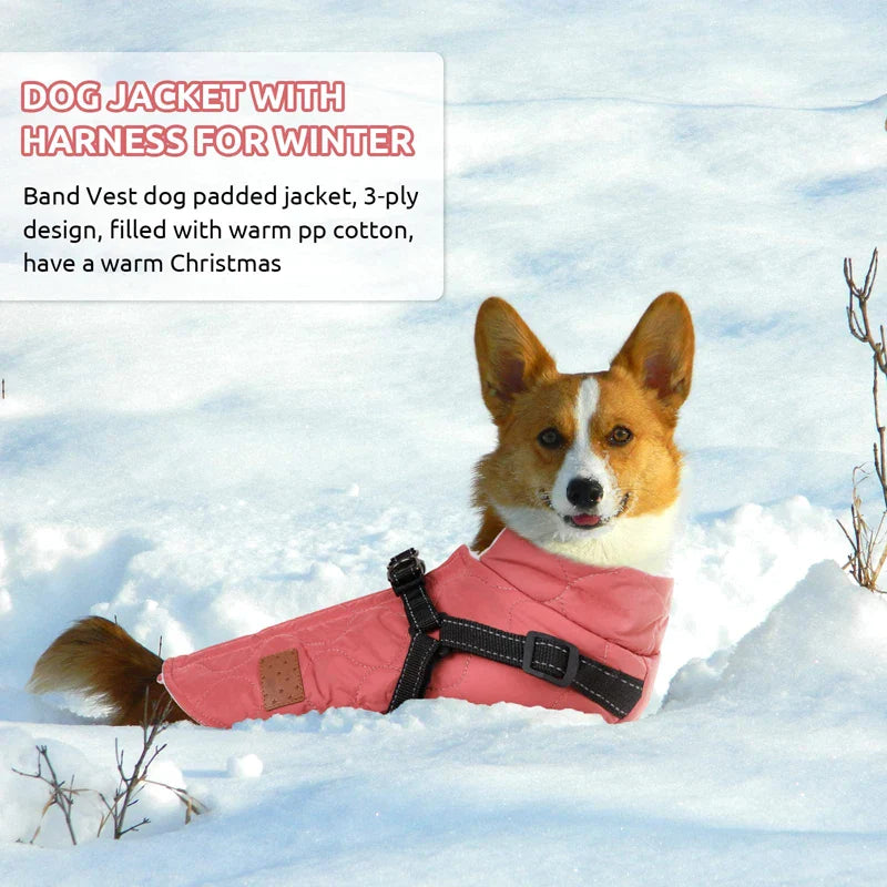 Turtleneck Dog Jacket With Harness