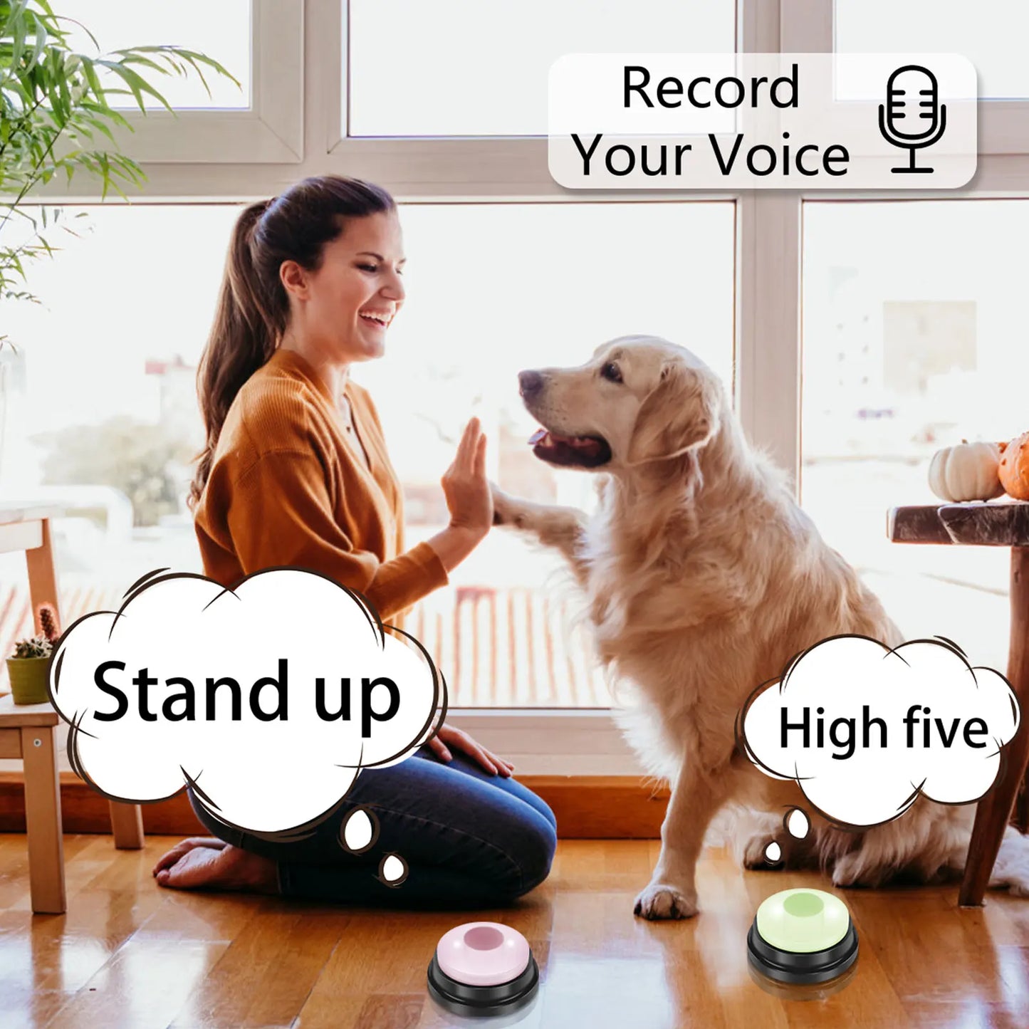4Pcs Dog Talking Button With LED Light