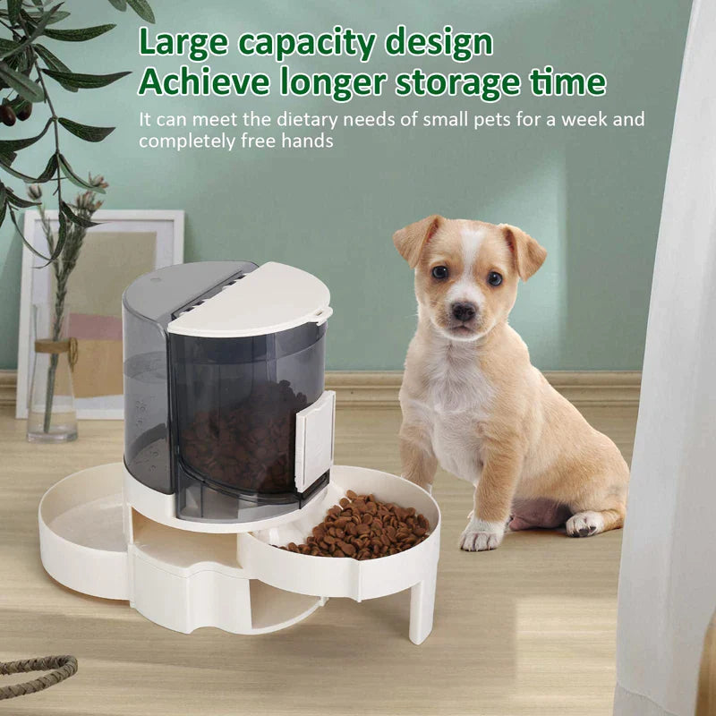 2 In 1 Eco-friendly Large Capacity Dog Bowl