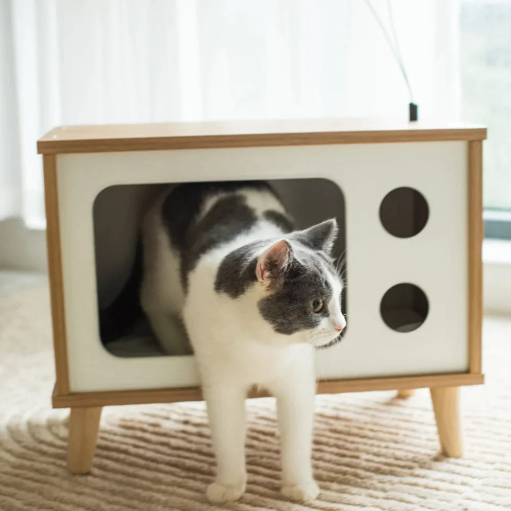 Vibrant Retro TV Cat Condo