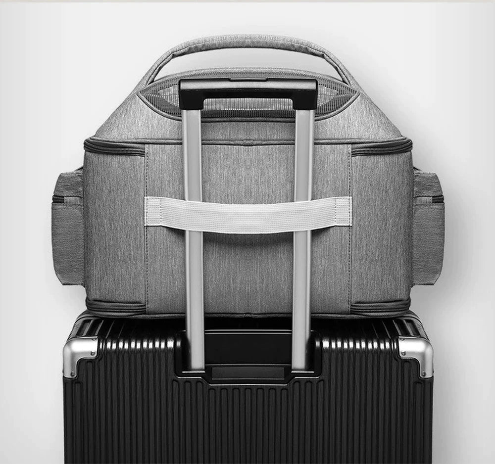 Traveling Mesh Collapsible Pet Carrier Bag