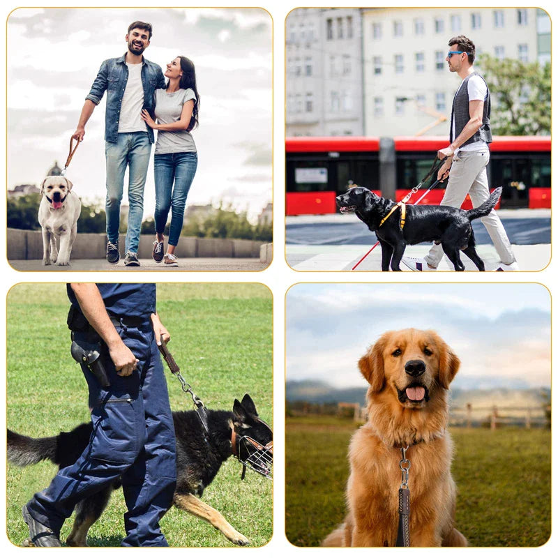 Rustproof Hook Genuine Leather Dog Lead