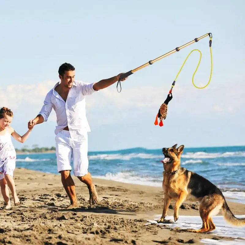 Extendable Dog Teaser Wand Toy