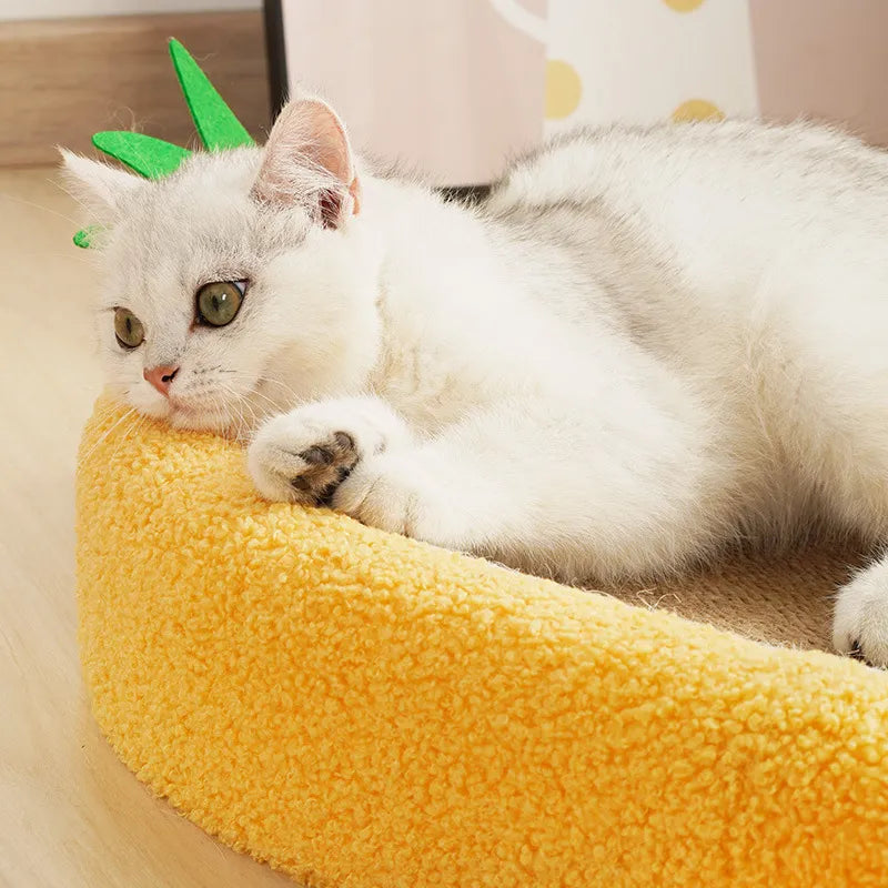 Cute Pineapple Cat Scratcher Board