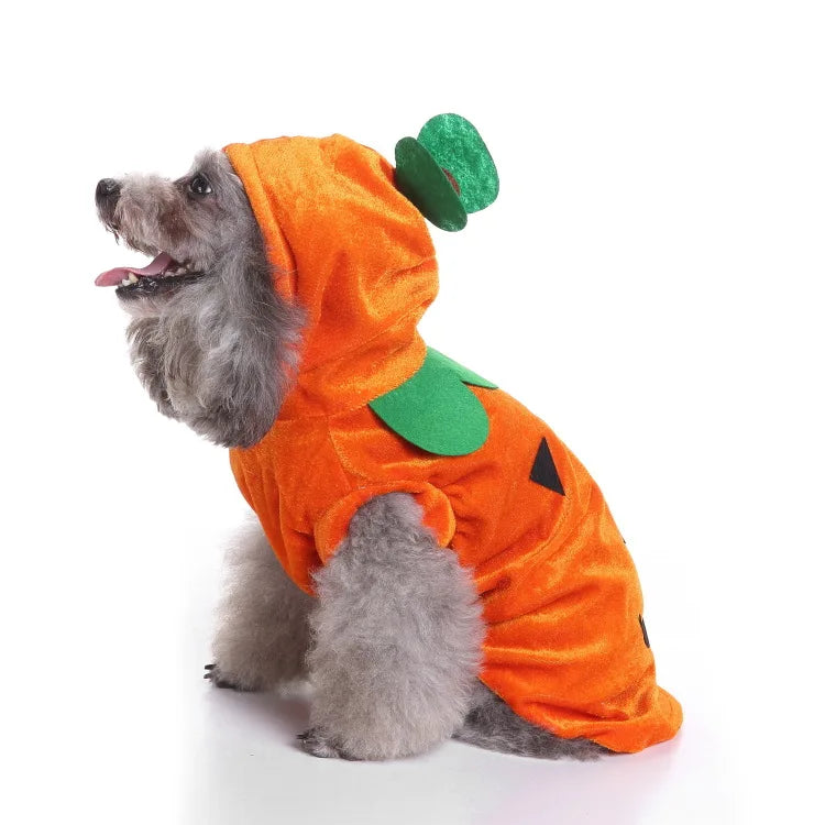 Funny Orange Pumpkin Dog Costume