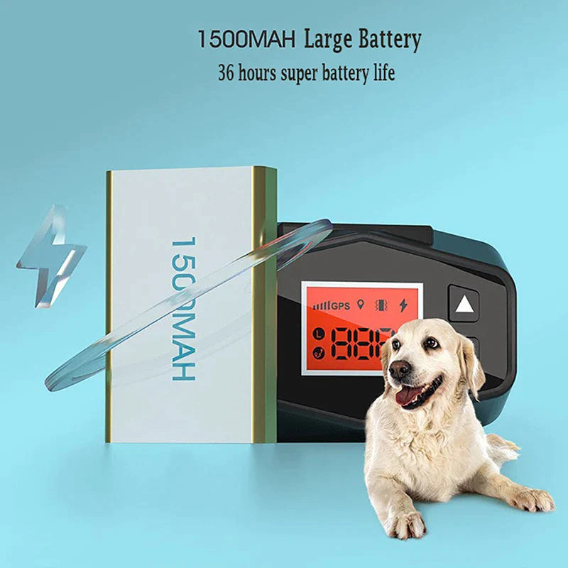 GPS Outdoor Wireless Dog System
