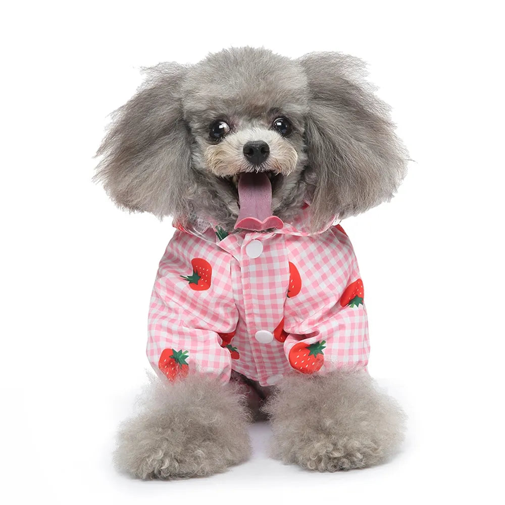 Fruit Print Waterproof Pet Raincoat