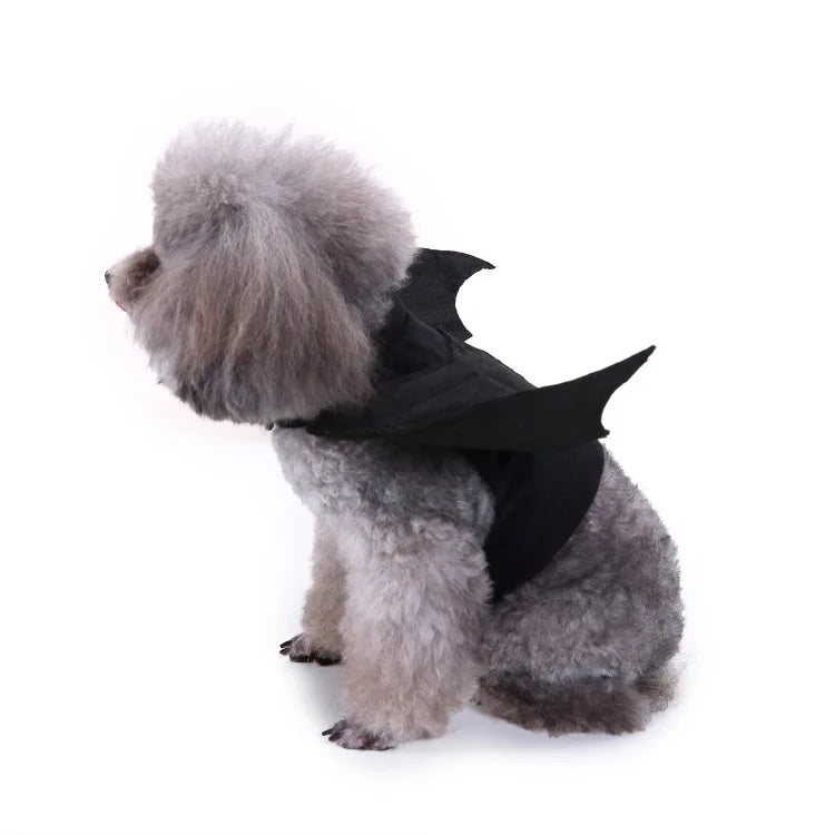 Funny Black Bat Dog Costume