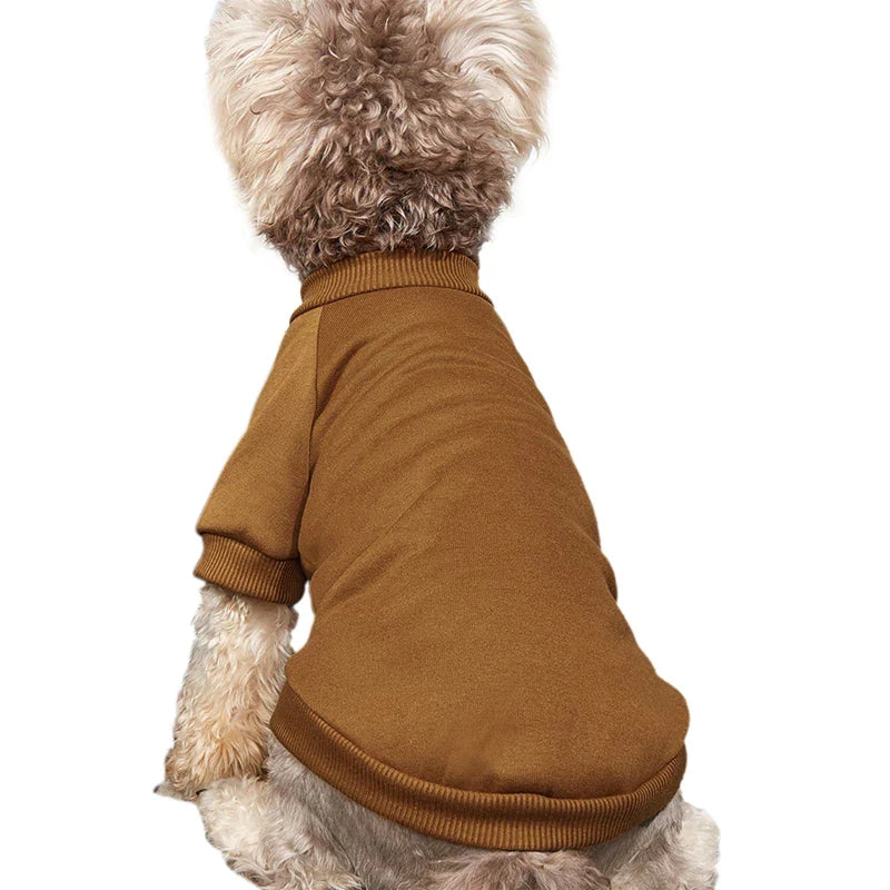 Autumn Small Dog Knitwear