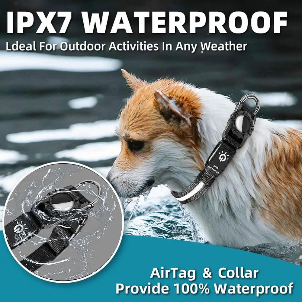 Waterproof LED AirTag Dog Collar