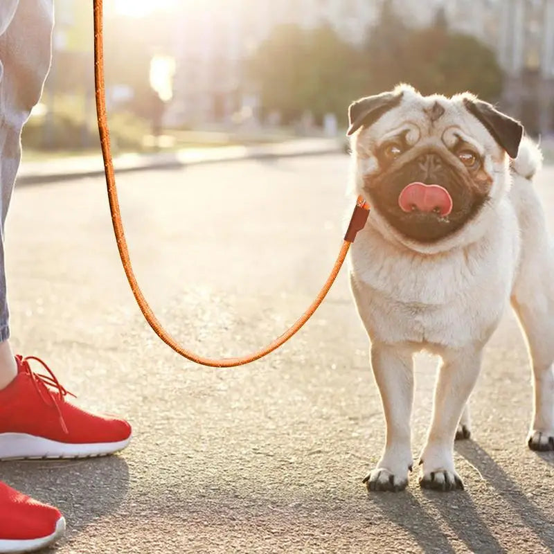 Heavy Duty Leather Dog Training Lead
