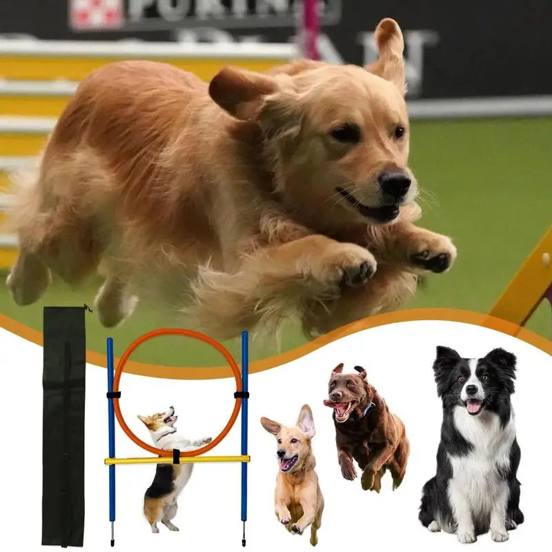 Outdoor Portable Dog Agility Jumping Pole