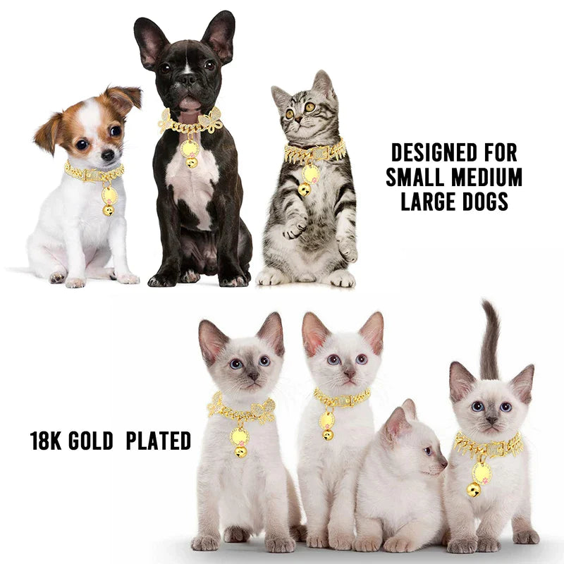 Bling CZ Diamond Gold Dog Collar
