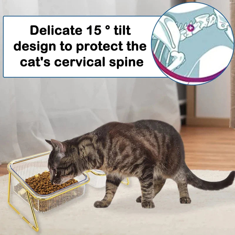 Transparent Elevated Double Pet Bowls