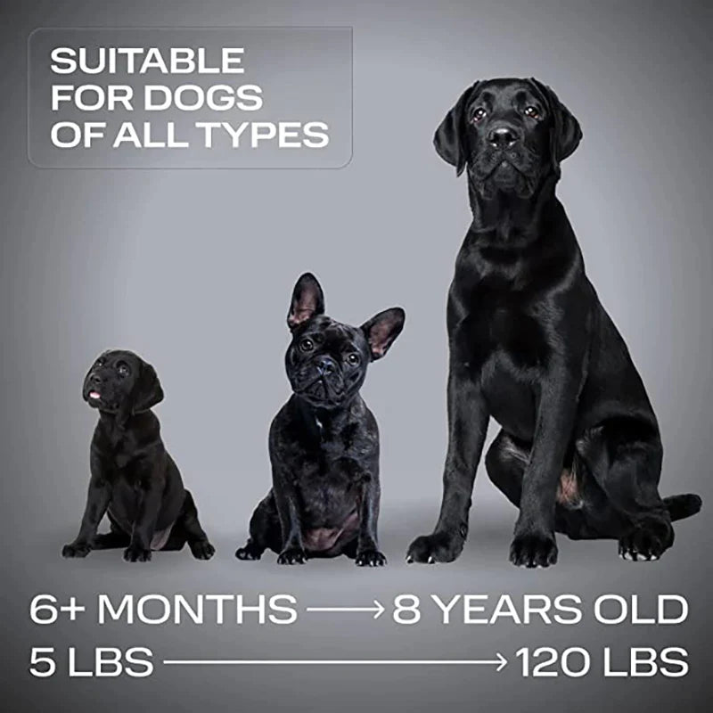 USB Rechargeable Ultrasonic Pet Dog Repeller