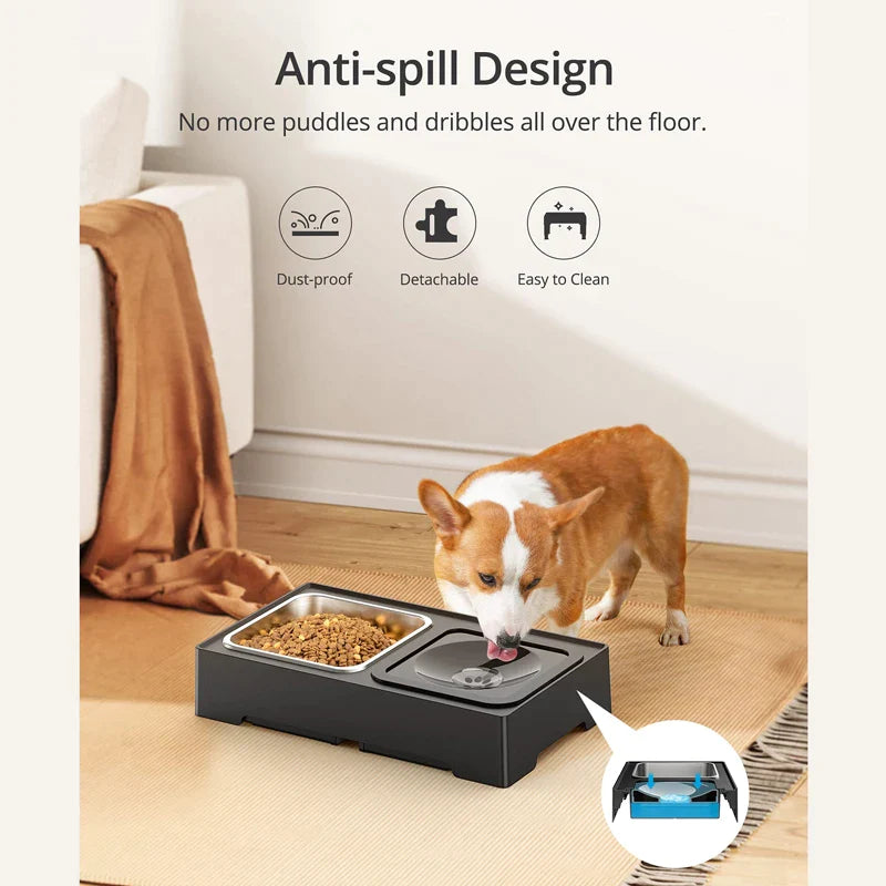 4 Levels Elevated Dog Bowls