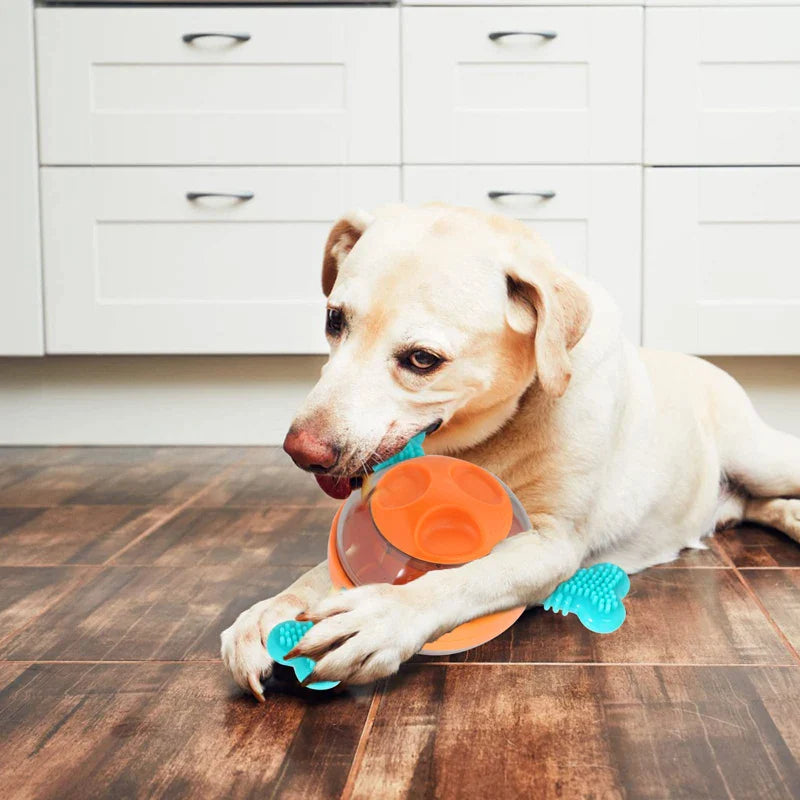 Interactive Enrichment Dog Toy