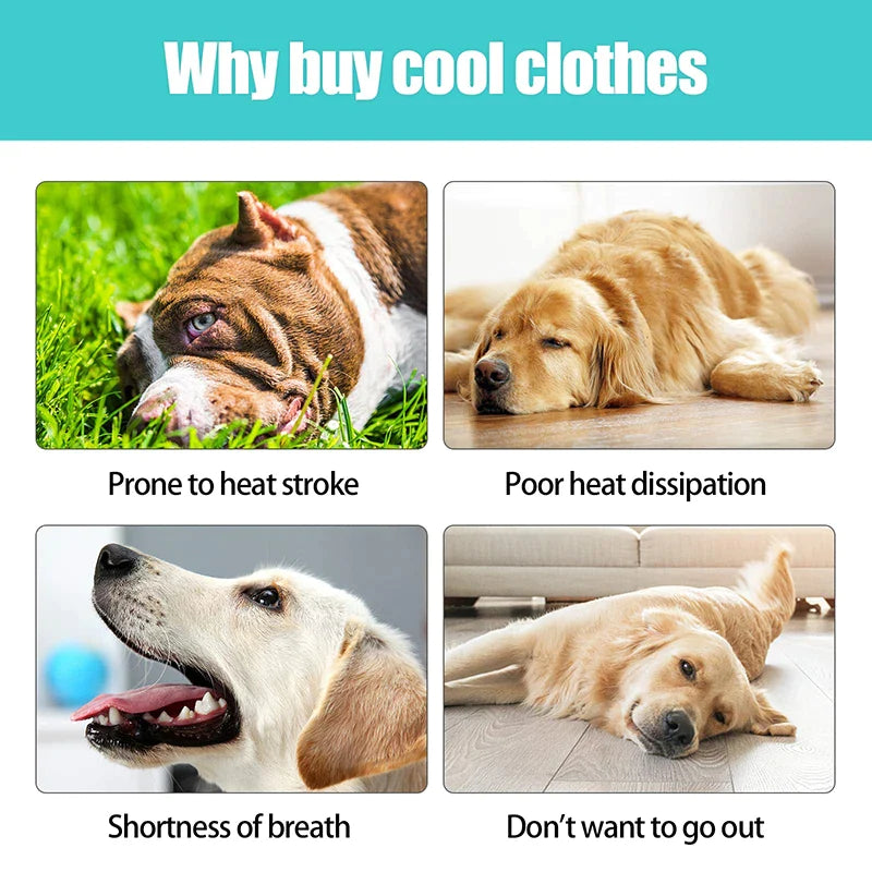UV Protection Cooling Dog Vest