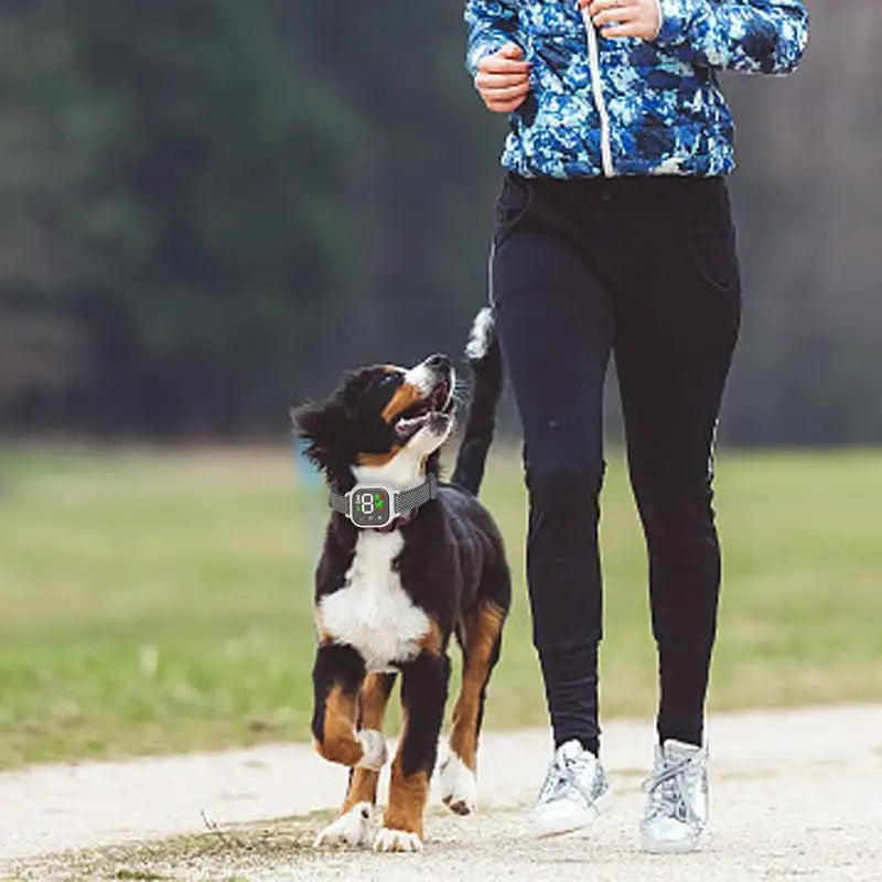 Digital Display USB Anti Barking Dog Collar