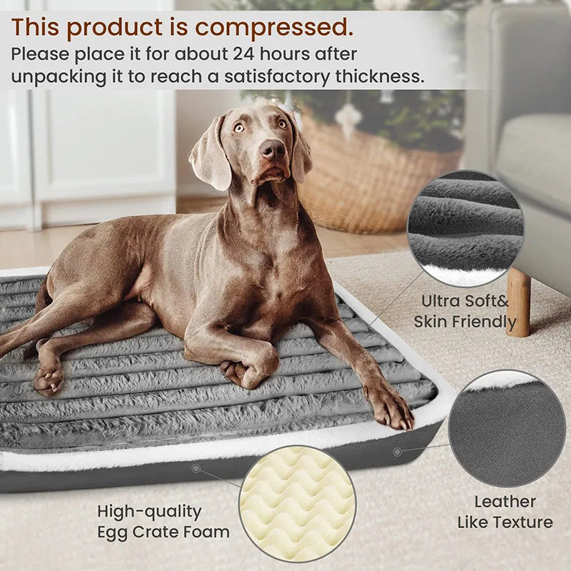 Soft Orthopedic Dog Foam Bed