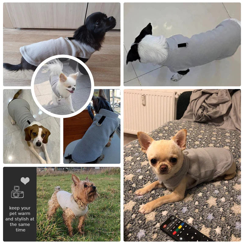 Winter Dog Jacket With Leash O-Ring