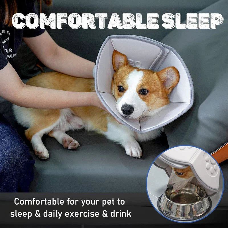 Comfy Recovery Pet Cone Collar