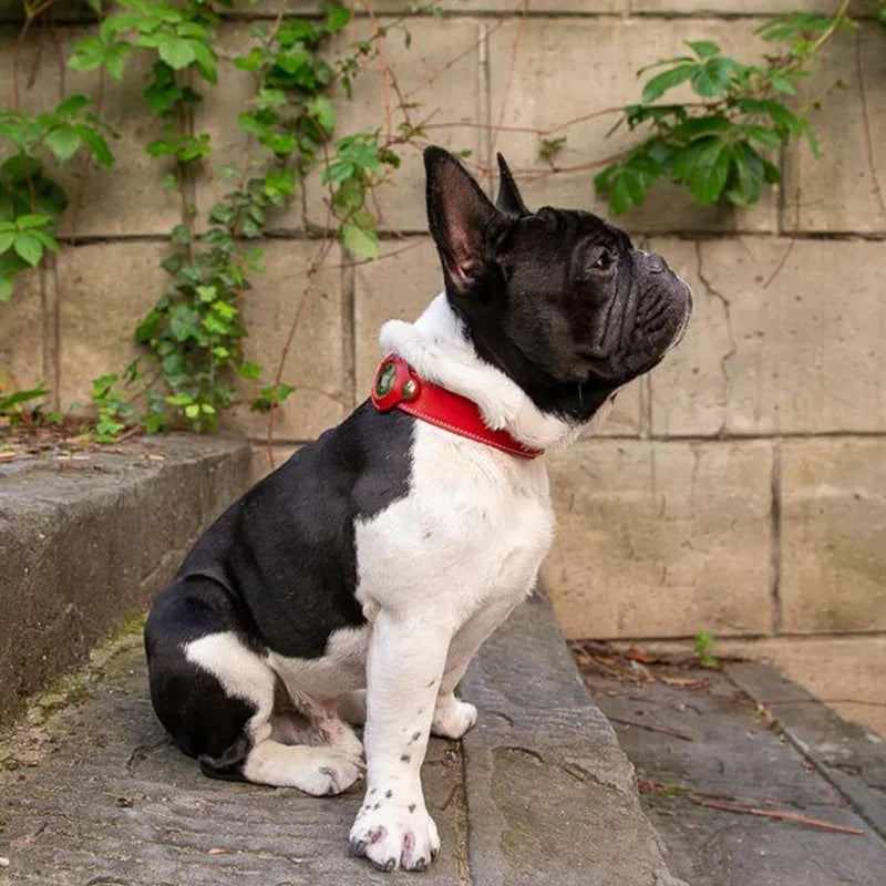Luxury Genuine Leather Pet AirTag Collar
