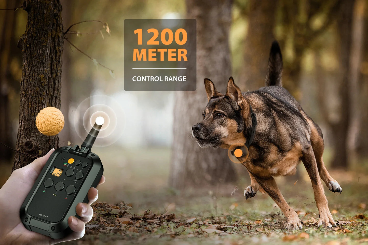 2 Channels Waterproof Training Collar