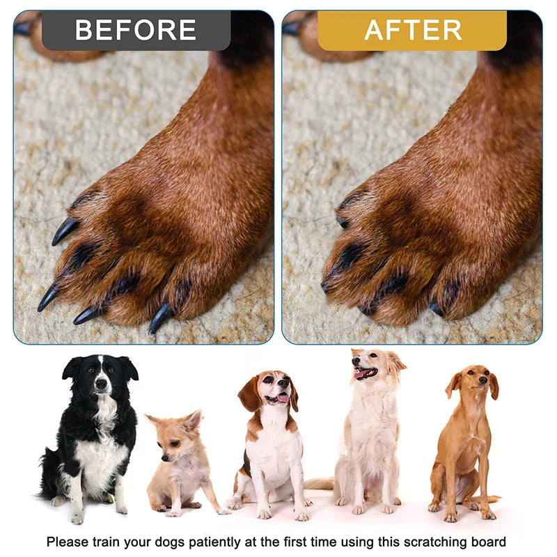 Durable Dog Nail Scratch Board Toys