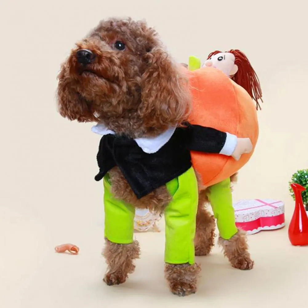 Cute Pumpkin Dog Party Costume