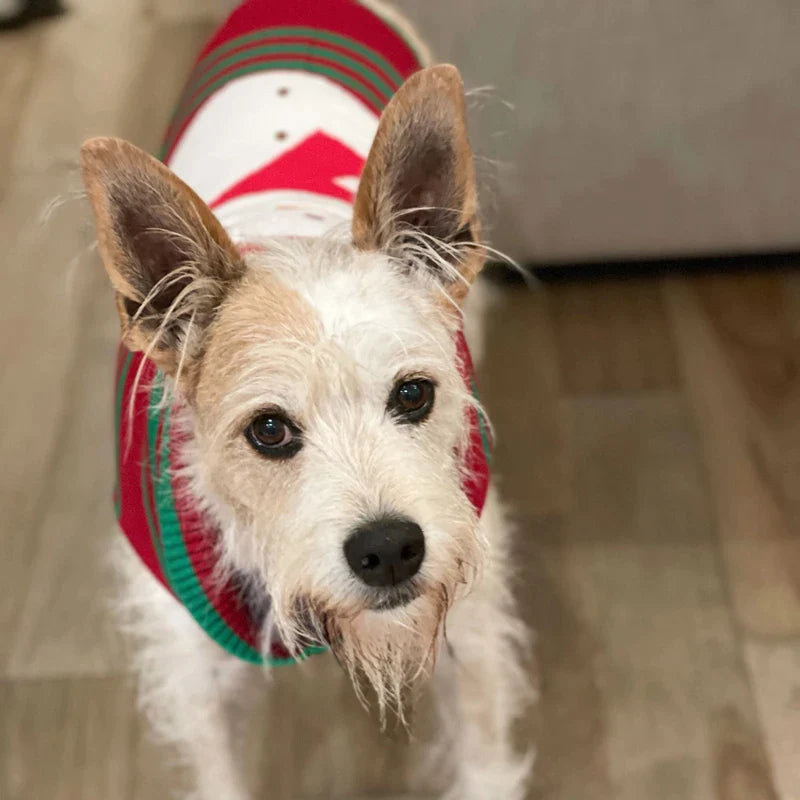 Christmas Snowman Pattern Dog Sweaters