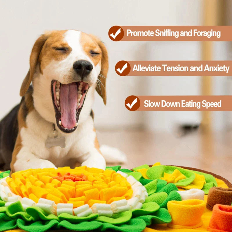 Squeaky Durable Dog Snuffle Pads