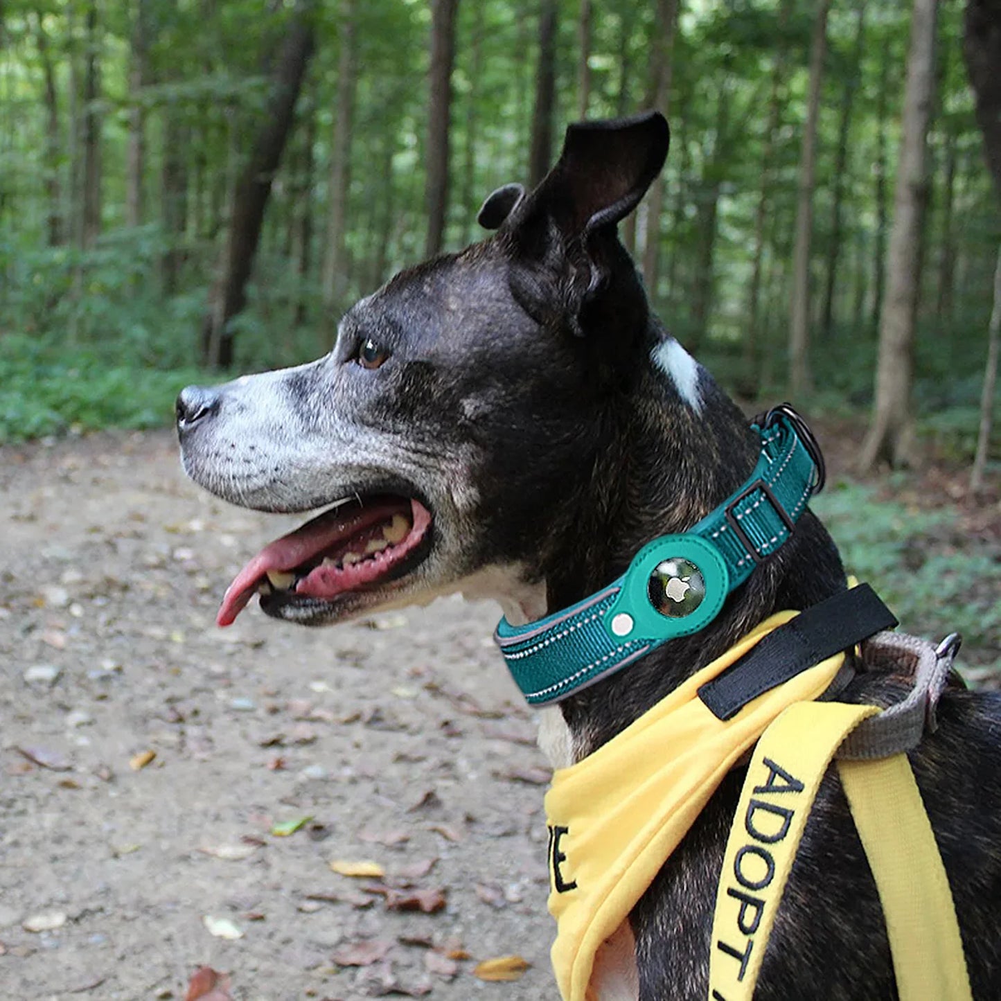 Reflective Heavy Duty AirTag Dog Collar