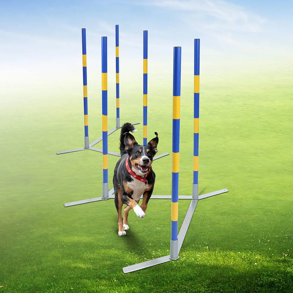 Eight Around The Pole Dog Obstacle Training