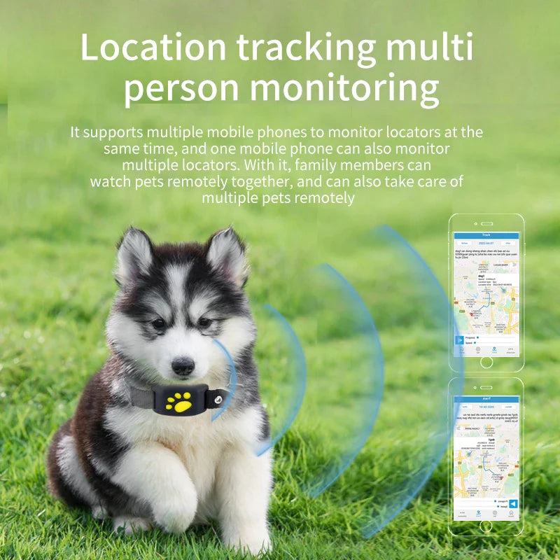 Real Time Tracking Dogs GPS Device