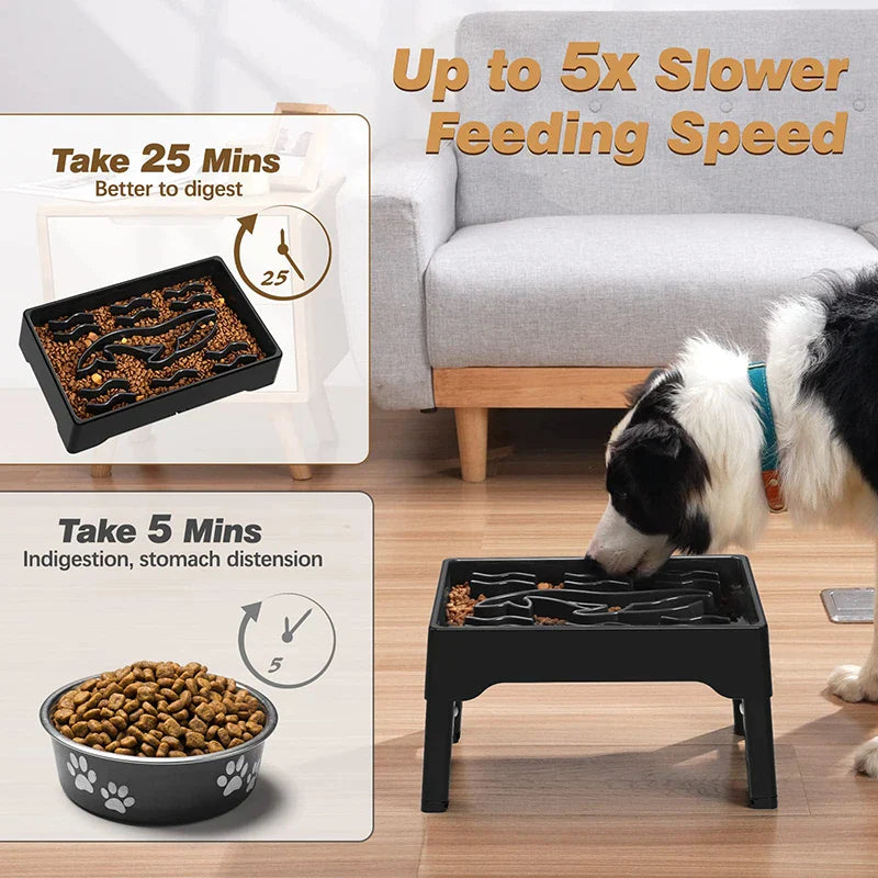 2.2L Large Capacity Elevated Dog Bowls