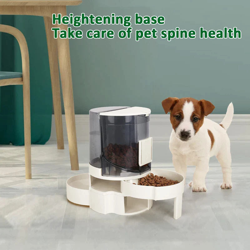 2 In 1 Eco-friendly Large Capacity Dog Bowl