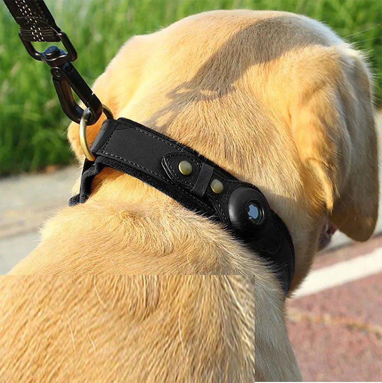 Luxury Leather AirTag Pet Collar